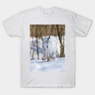 Snow Shoe Hare T-Shirt